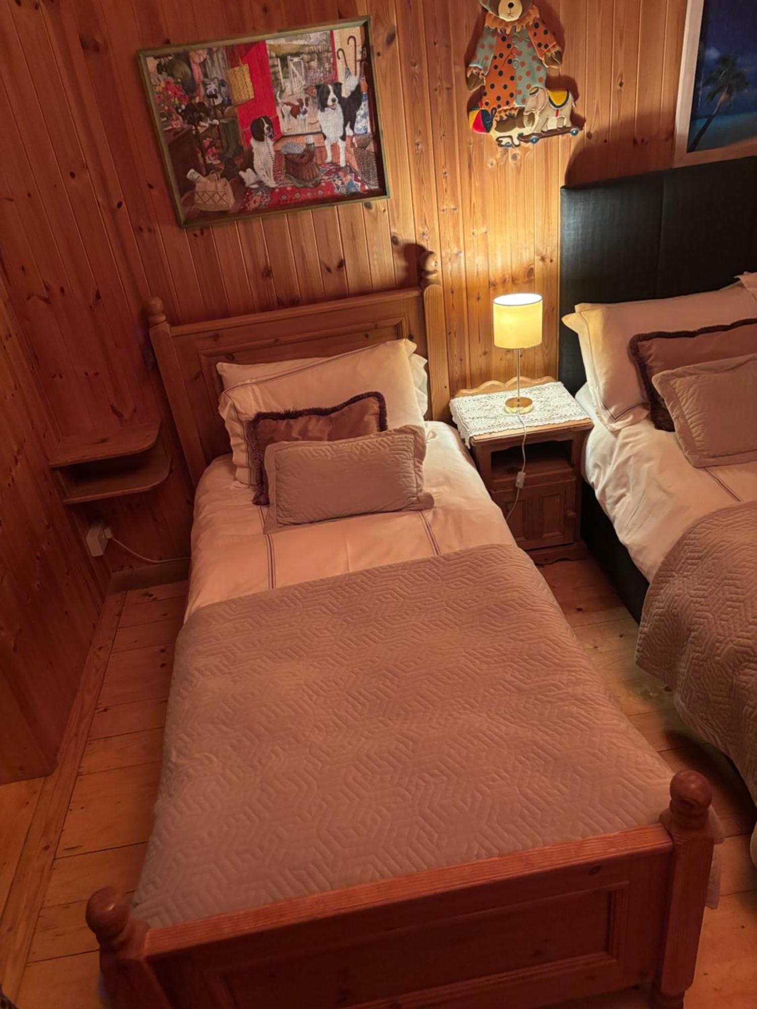 Cosy Countryside Log Cabin Kilkenny Exterior photo