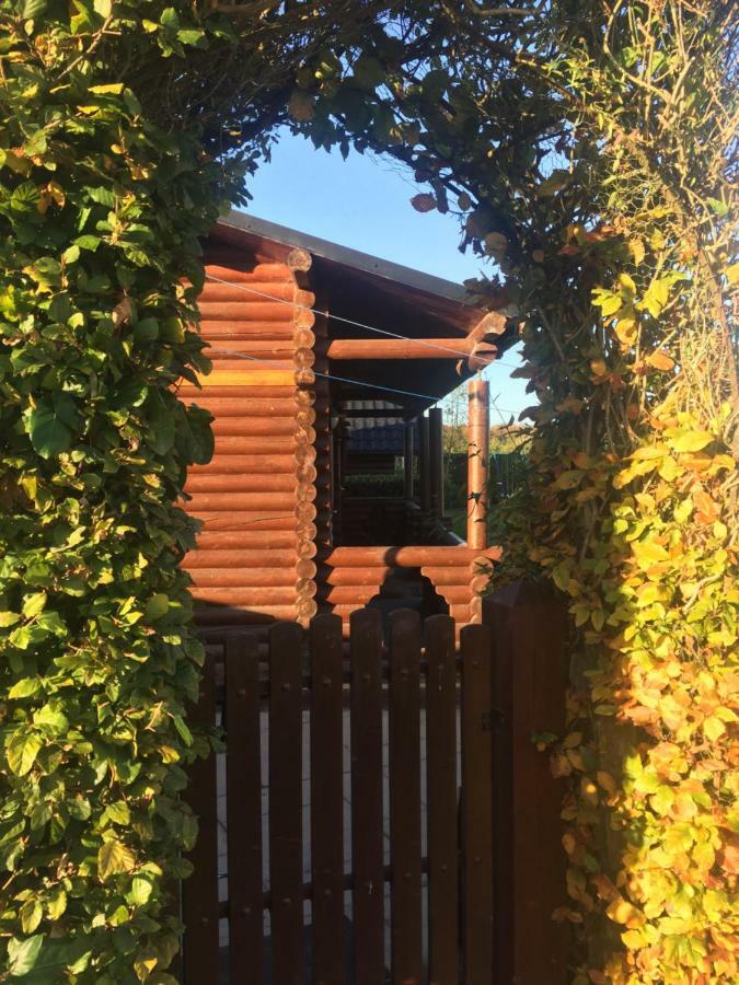 Cosy Countryside Log Cabin Apartment Kilkenny Exterior photo