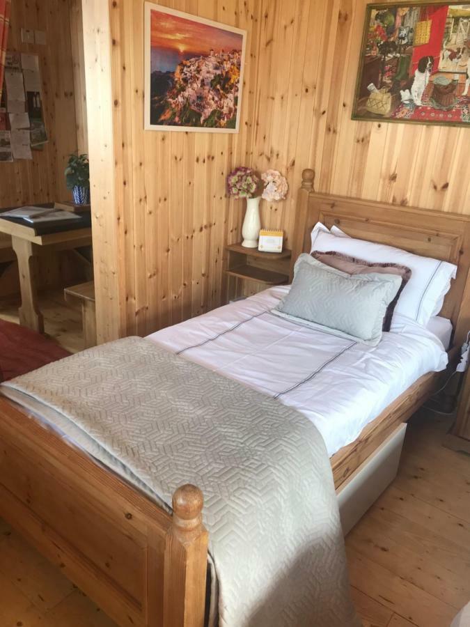 Cosy Countryside Log Cabin Kilkenny Exterior photo